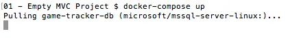 Bring Up SQL Server