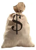 Bag with Dollar Sign