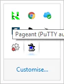 Pageant In Notification Area