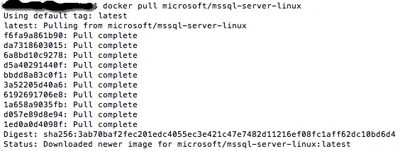 Pull SQL Server Docker Image