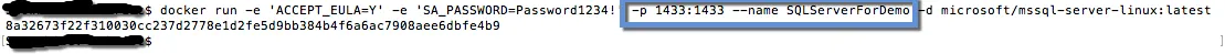Run SQL Server Docker Container